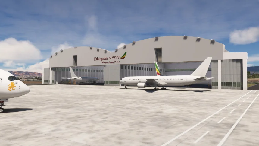 Addis Ababa MSFS