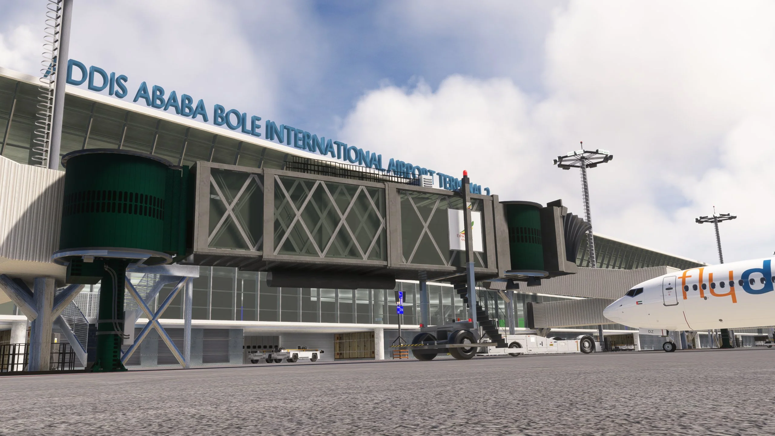 Addis Ababa MSFS