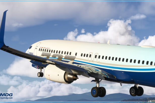 PMDG 737 ngx, un des meilleurs avions msfs